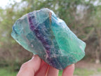 Polished and Natural Pair of Watermelon Fluorite Specimens x 1 From Uis, Namibia