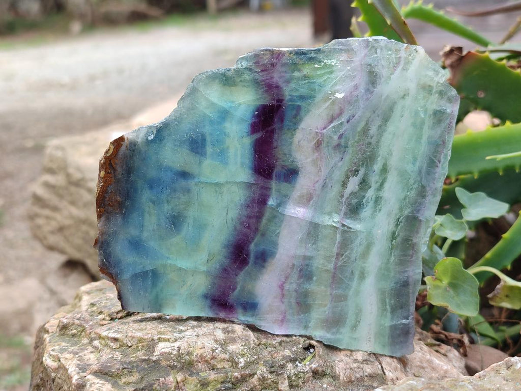 Polished and Natural Pair of Watermelon Fluorite Specimens x 1 From Uis, Namibia