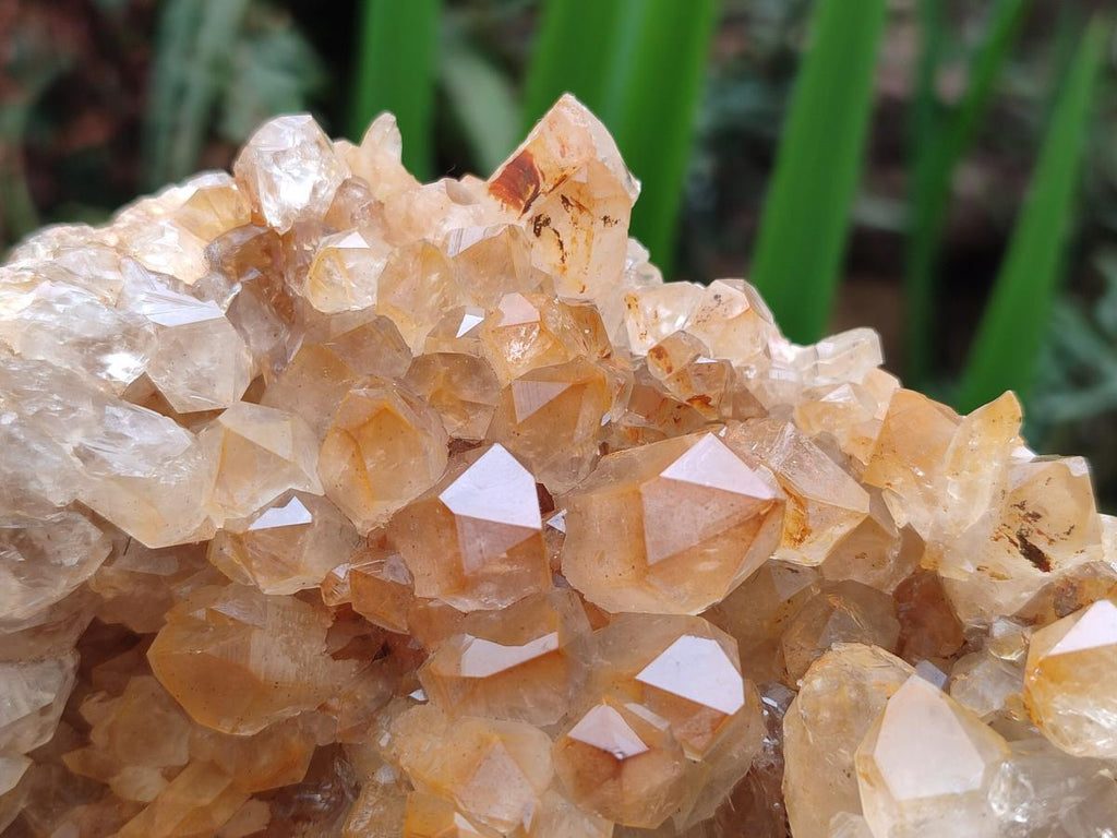 Natural Large Golden Orange Limonite Quartz Specimen x 1 From Mwinilunga, Zambia