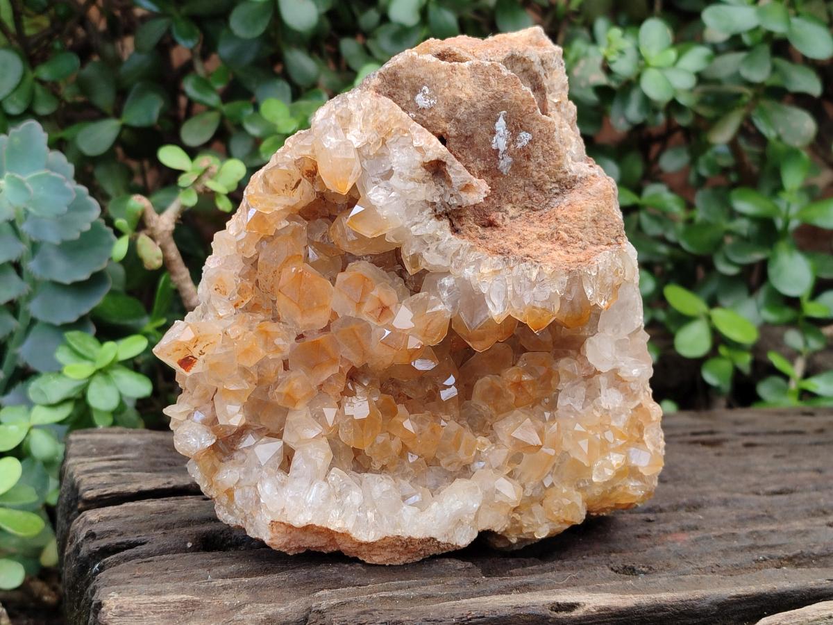 Natural Large Golden Orange Limonite Quartz Specimen x 1 From Mwinilunga, Zambia