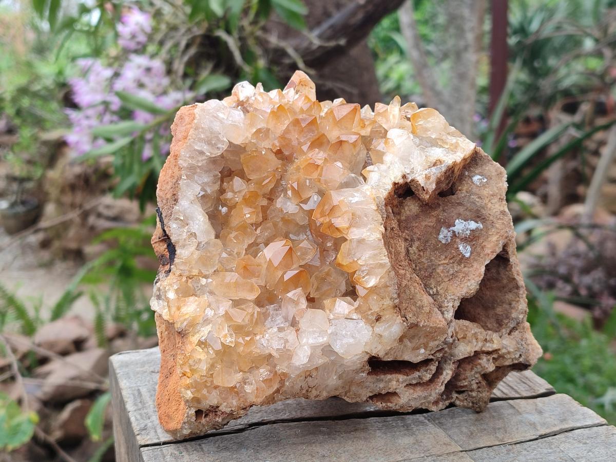 Natural Large Golden Orange Limonite Quartz Specimen x 1 From Mwinilunga, Zambia