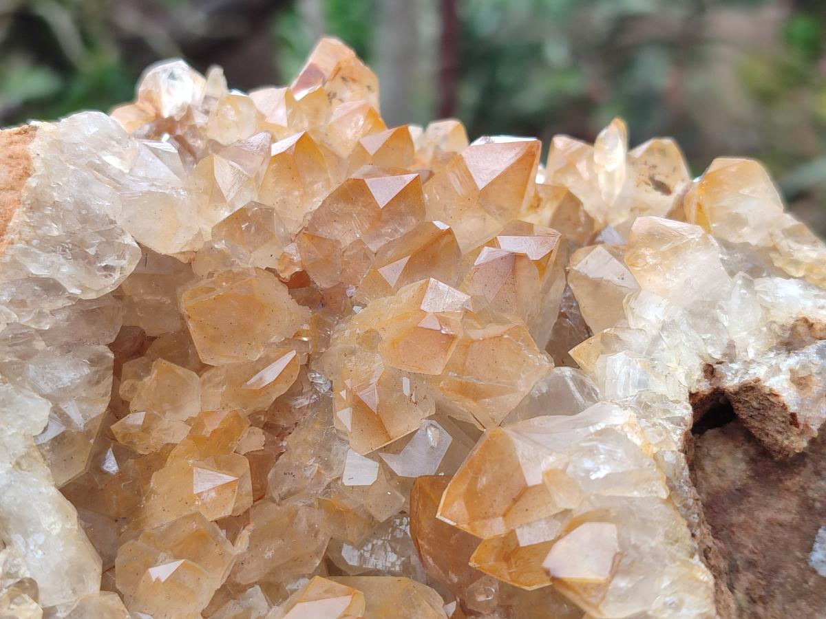 Natural Large Golden Orange Limonite Quartz Specimen x 1 From Mwinilunga, Zambia