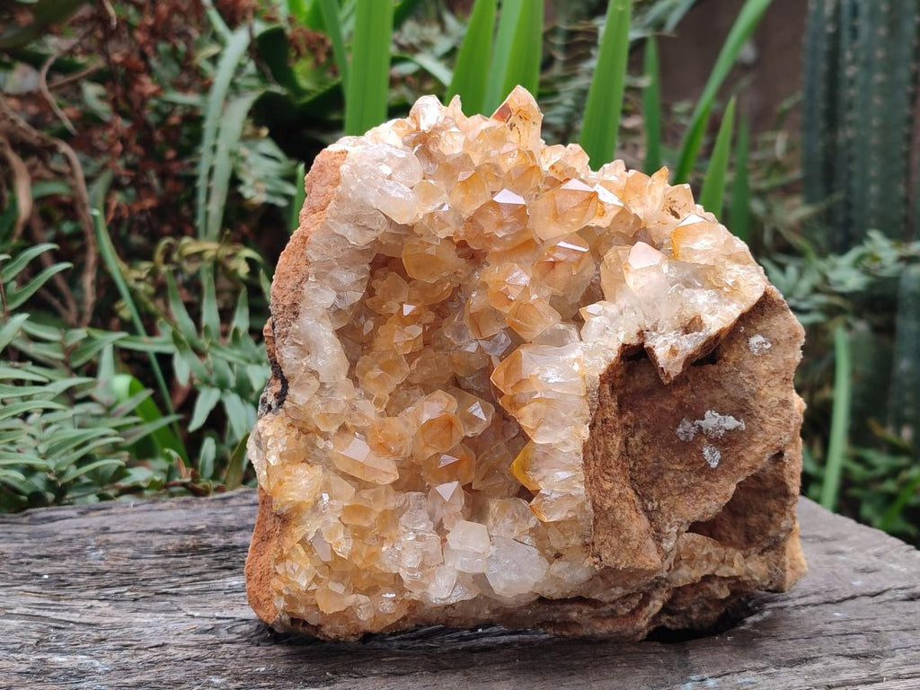 Natural Large Golden Orange Limonite Quartz Specimen x 1 From Mwinilunga, Zambia