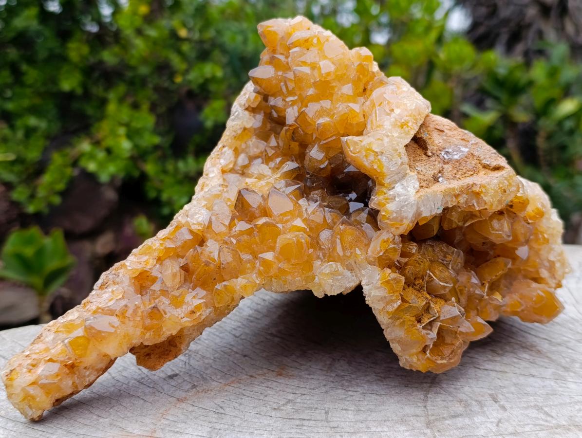 Natural Large Golden Limonite Phantom Crystal Vug Specimen x 1 From Mwinilunga, Zambia