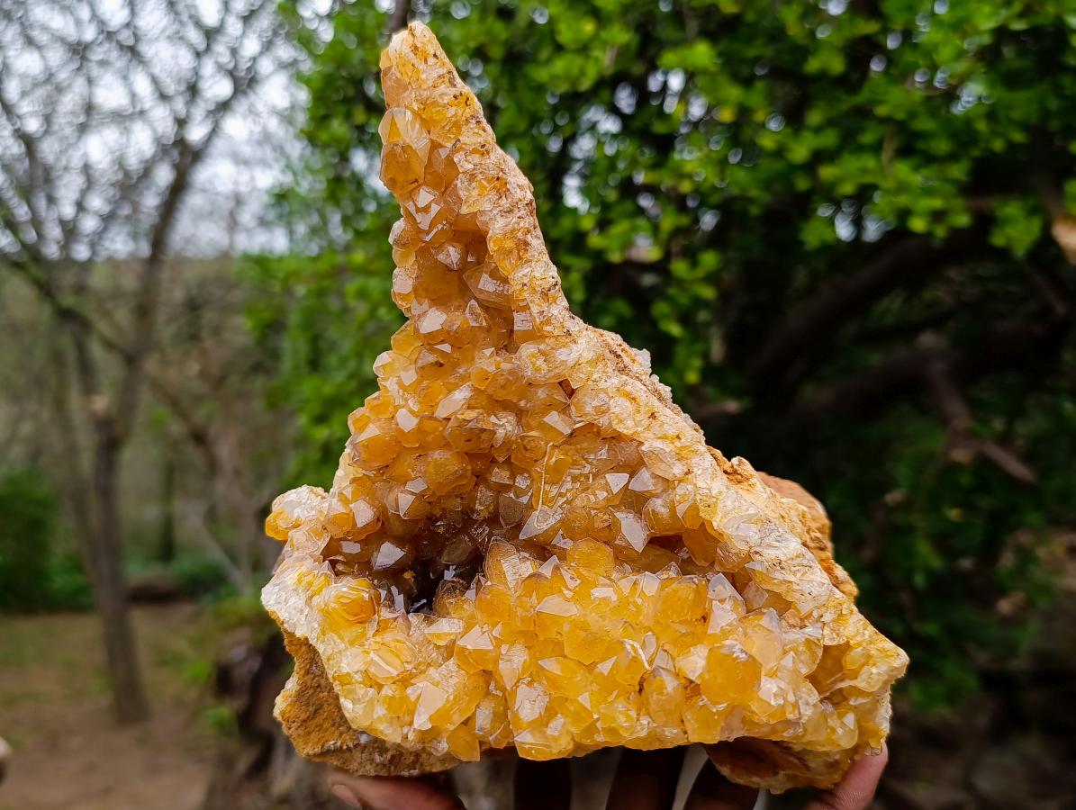 Natural Large Golden Limonite Phantom Crystal Vug Specimen x 1 From Mwinilunga, Zambia