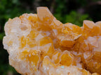 Natural Large Golden Limonite Phantom Crystal Vug Specimen x 1 From Mwinilunga, Zambia