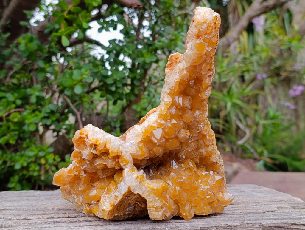 Natural Large Golden Limonite Phantom Crystal Vug Specimen x 1 From Mwinilunga, Zambia