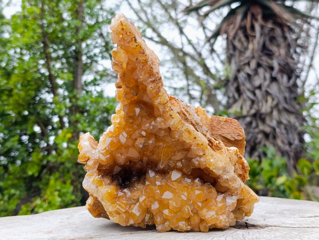Natural Large Golden Limonite Phantom Crystal Vug Specimen x 1 From Mwinilunga, Zambia