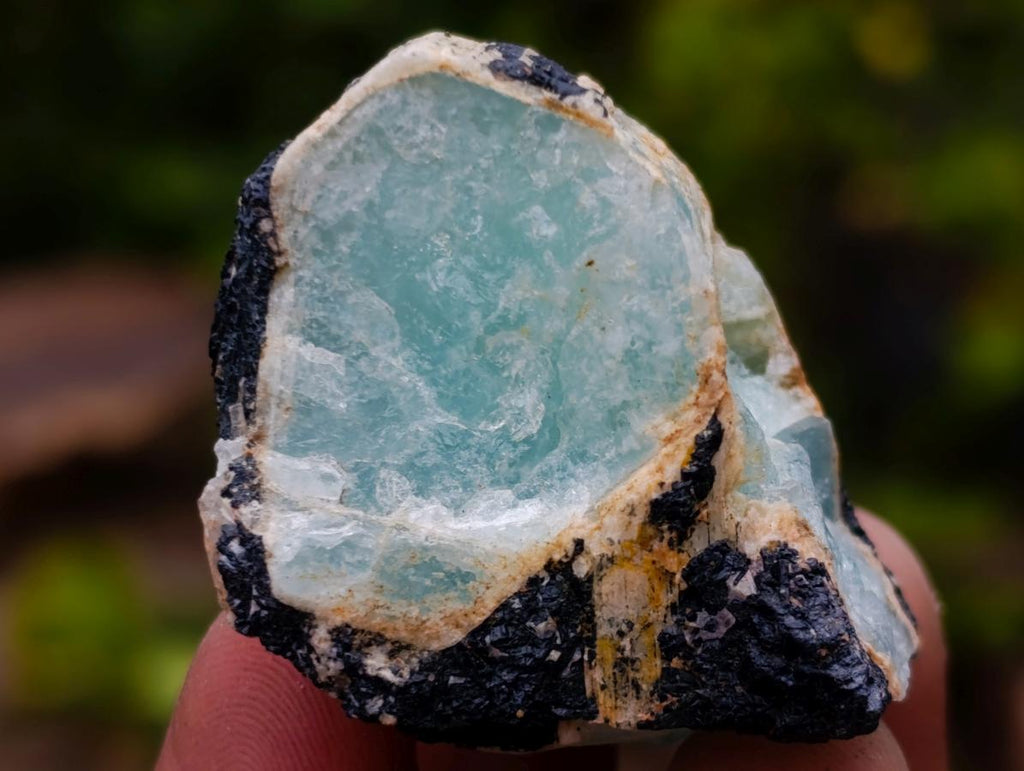 Natural Mixed Set of 20 African Mineral Specimens in a Wooden Display Box x 1 From Southern Africa