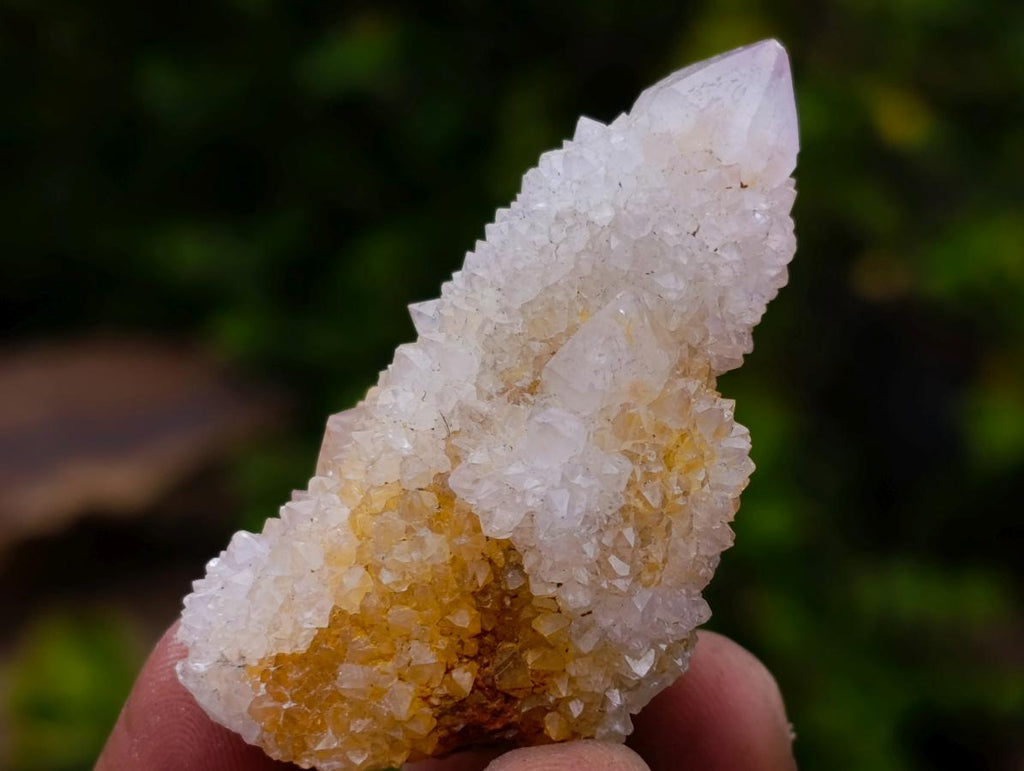 Natural Mixed Set of 20 African Mineral Specimens in a Wooden Display Box x 1 From Southern Africa
