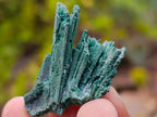 Natural Mixed Set of 20 African Mineral Specimens in a Wooden Display Box x 1 From Southern Africa
