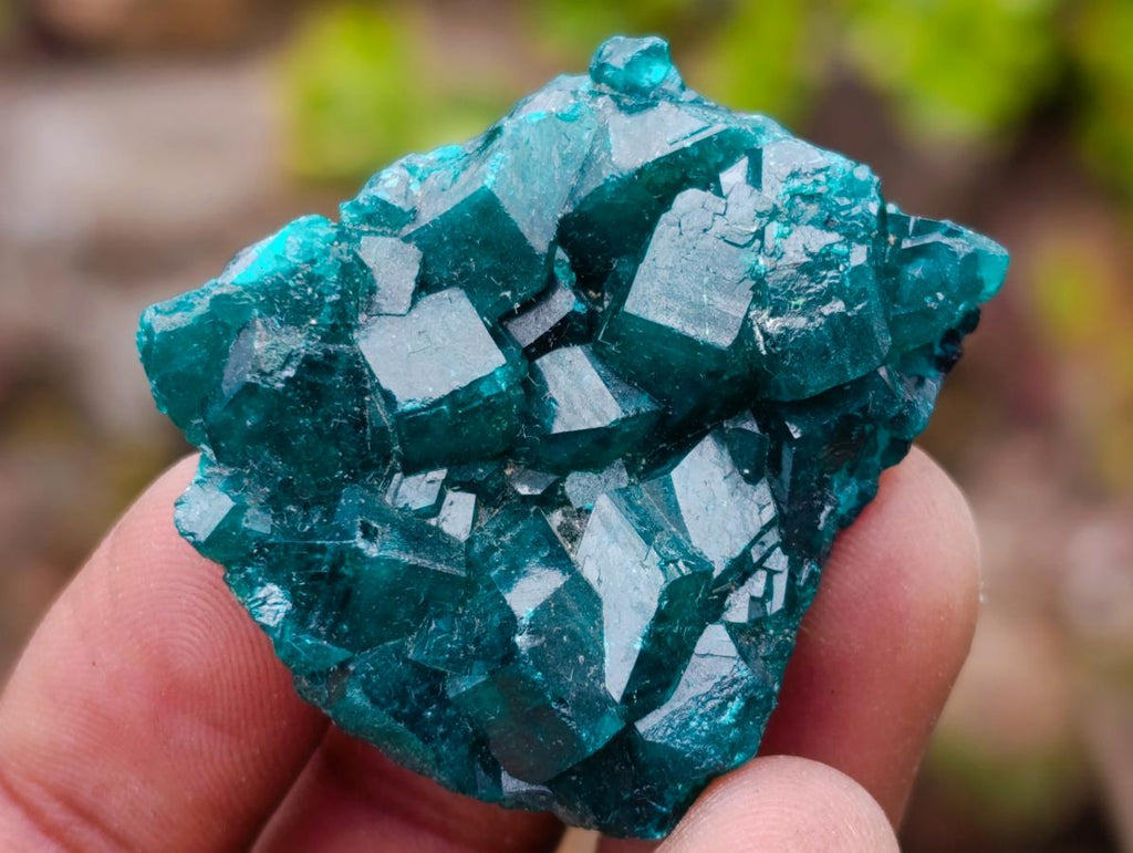 Natural Mixed Set of 20 African Mineral Specimens in a Wooden Display Box x 1 From Southern Africa