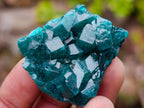 Natural Mixed Set of 20 African Mineral Specimens in a Wooden Display Box x 1 From Southern Africa