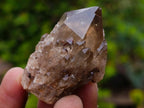 Natural Mixed Set of 20 African Mineral Specimens in a Wooden Display Box x 1 From Southern Africa