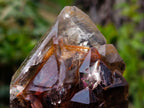 Natural Etched Brandberg Window Smokey Quartz Crystal x 1 From Brandberg, Namibia