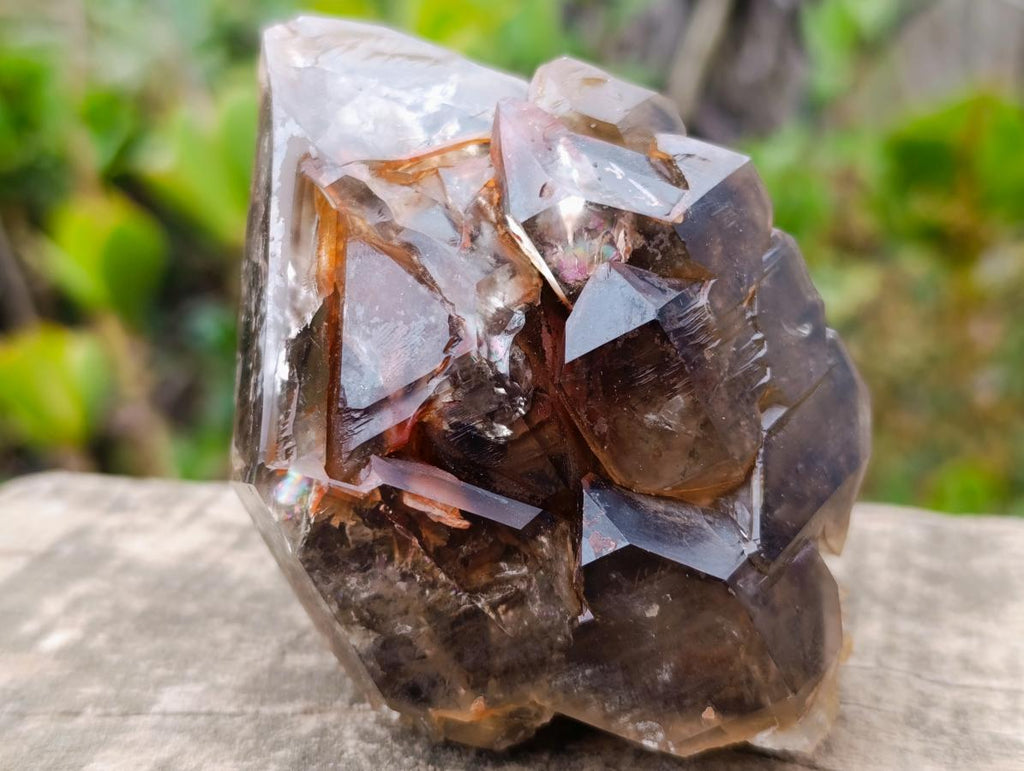 Natural Etched Brandberg Window Smokey Quartz Crystal x 1 From Brandberg, Namibia
