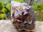 Natural Etched Brandberg Window Smokey Quartz Crystal x 1 From Brandberg, Namibia