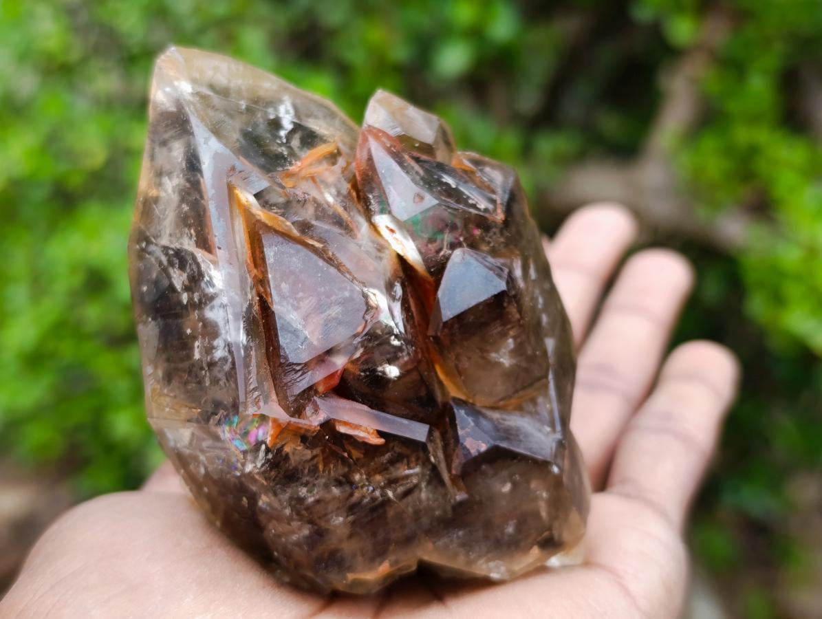 Natural Etched Brandberg Window Smokey Quartz Crystal x 1 From Brandberg, Namibia