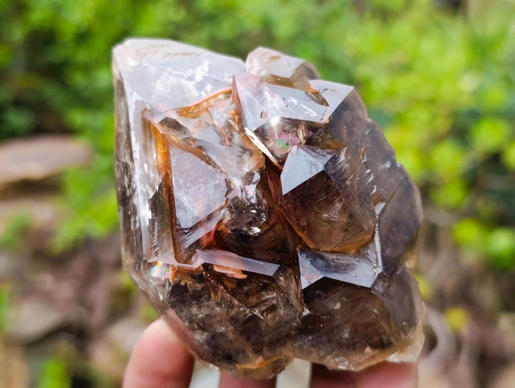 Natural Etched Brandberg Window Smokey Quartz Crystal x 1 From Brandberg, Namibia