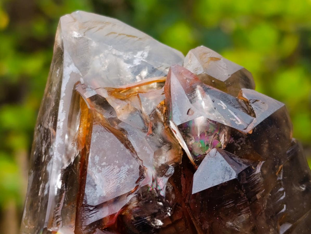 Natural Etched Brandberg Window Smokey Quartz Crystal x 1 From Brandberg, Namibia