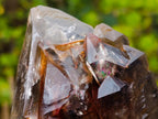 Natural Etched Brandberg Window Smokey Quartz Crystal x 1 From Brandberg, Namibia