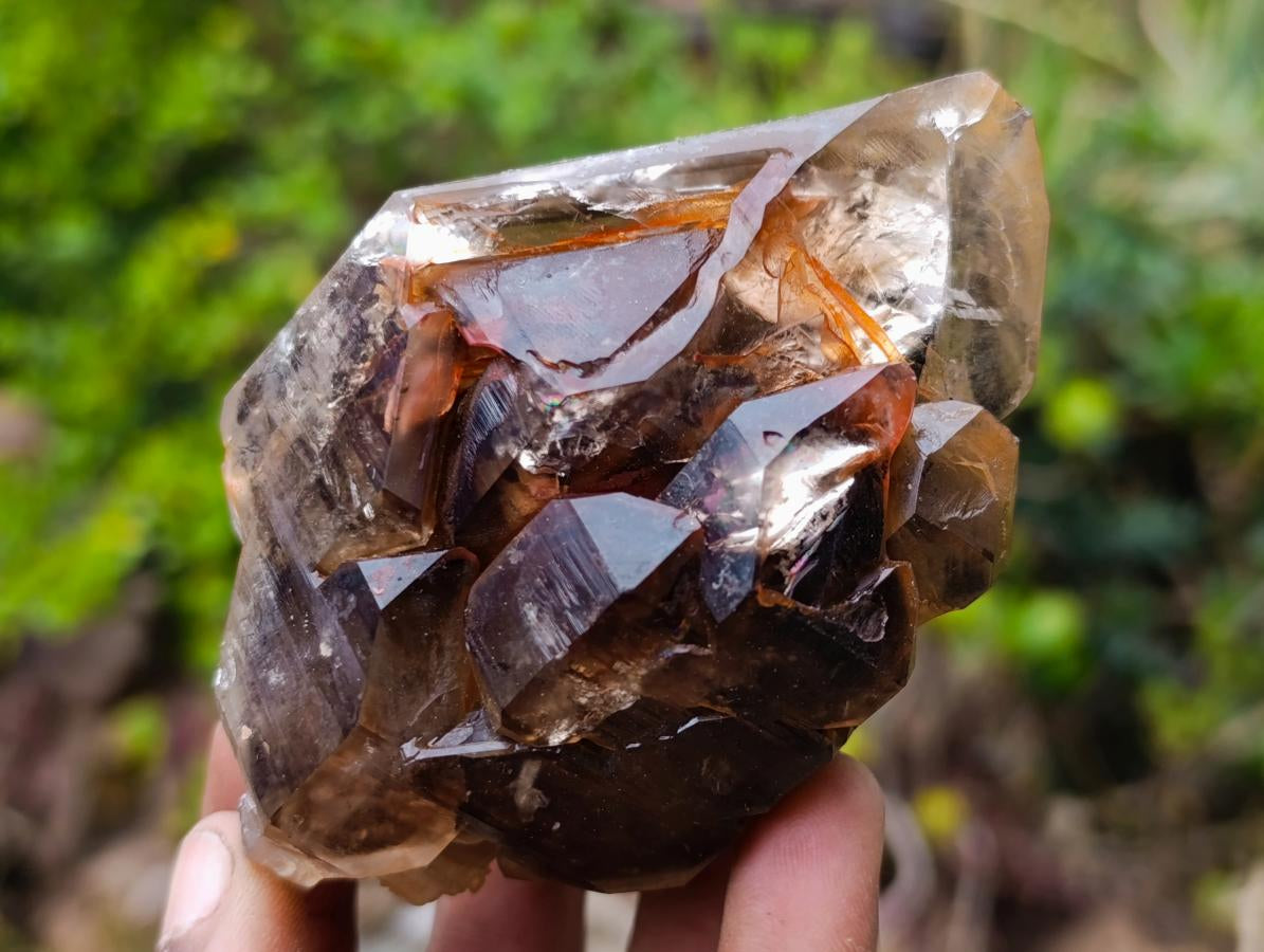 Natural Etched Brandberg Window Smokey Quartz Crystal x 1 From Brandberg, Namibia