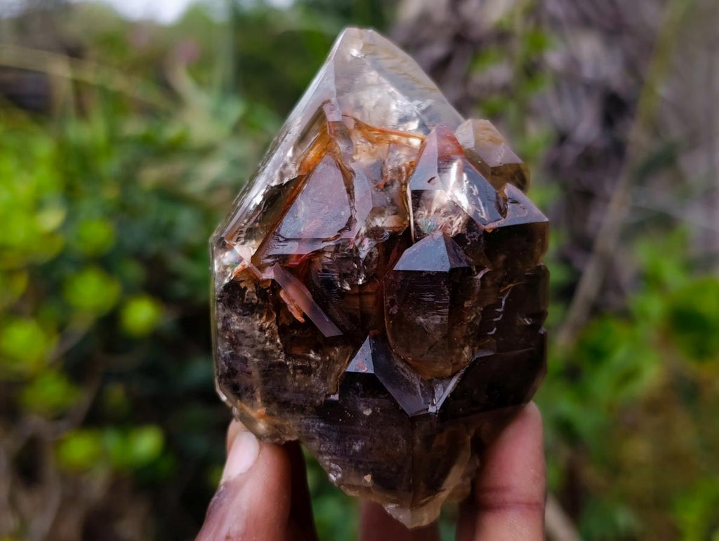 Natural Etched Brandberg Window Smokey Quartz Crystal x 1 From Brandberg, Namibia