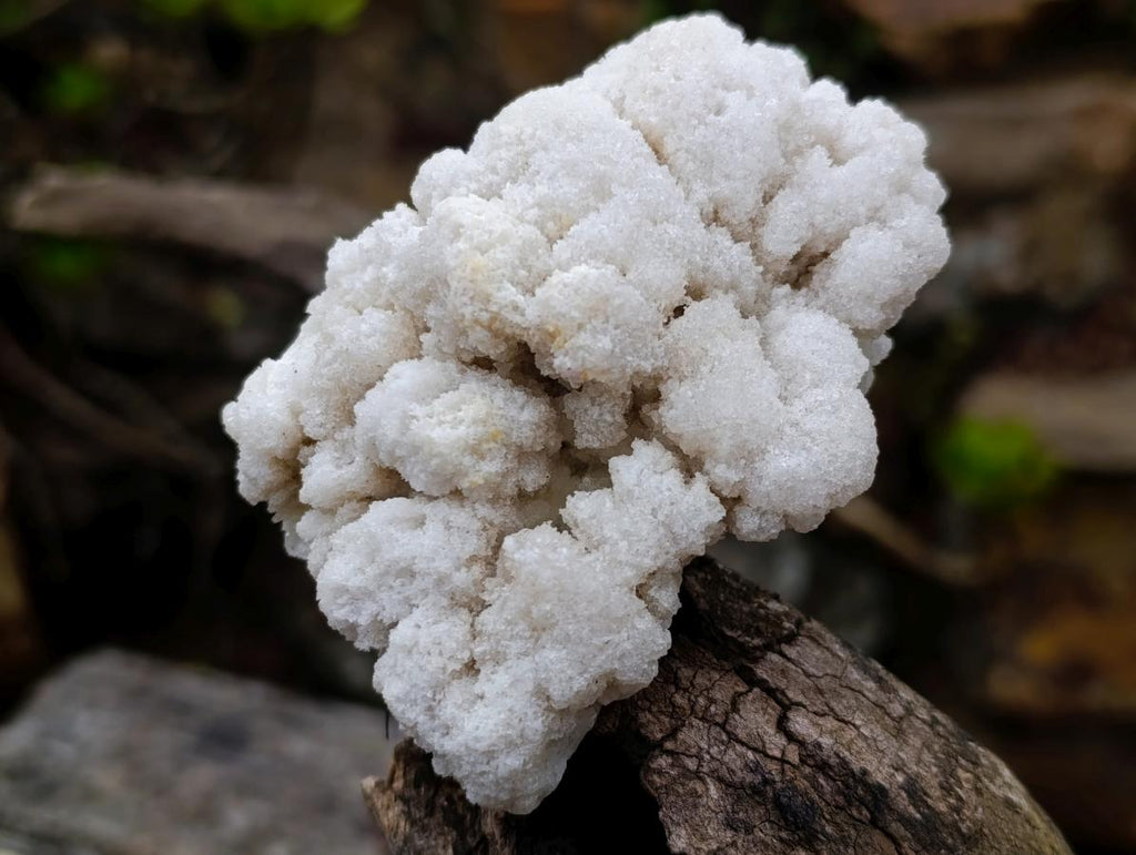 Natural Cauliflower Crystalline Hyalite Opal Fluorescent Specimen x 1 From Erongo, Namibia