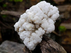 Natural Cauliflower Crystalline Hyalite Opal Fluorescent Specimen x 1 From Erongo, Namibia