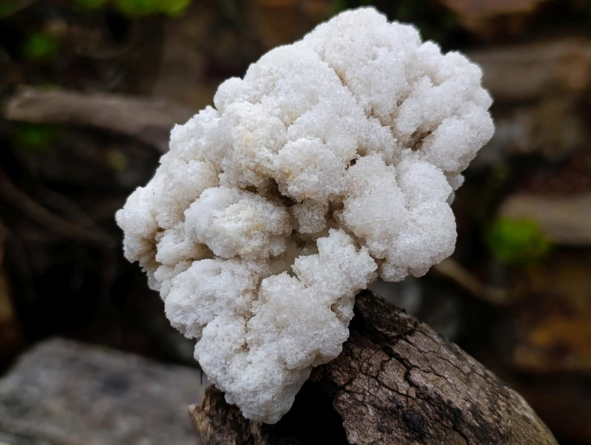 Natural Cauliflower Crystalline Hyalite Opal Fluorescent Specimen x 1 From Erongo, Namibia