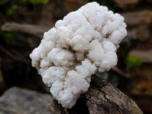 Natural Cauliflower Crystalline Hyalite Opal Fluorescent Specimen x 1 From Erongo, Namibia
