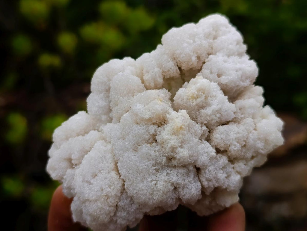 Natural Cauliflower Crystalline Hyalite Opal Fluorescent Specimen x 1 From Erongo, Namibia
