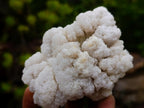 Natural Cauliflower Crystalline Hyalite Opal Fluorescent Specimen x 1 From Erongo, Namibia