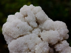 Natural Cauliflower Crystalline Hyalite Opal Fluorescent Specimen x 1 From Erongo, Namibia