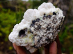 Natural Cauliflower Crystalline Hyalite Opal Fluorescent Specimen x 1 From Erongo, Namibia