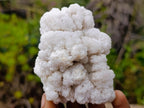 Natural Cauliflower Crystalline Hyalite Opal Fluorescent Specimen x 1 From Erongo, Namibia