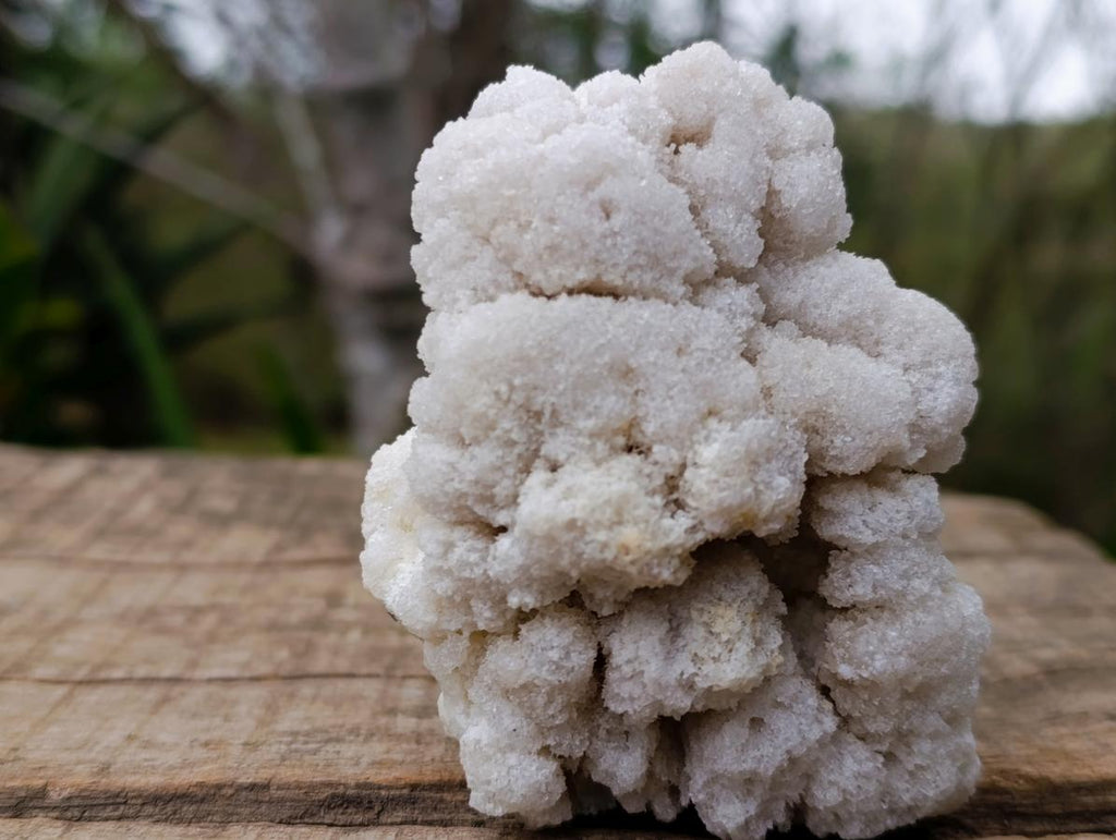 Natural Cauliflower Crystalline Hyalite Opal Fluorescent Specimen x 1 From Erongo, Namibia