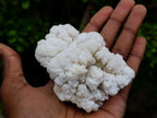 Natural Cauliflower Crystalline Hyalite Opal Fluorescent Specimen x 1 From Erongo, Namibia