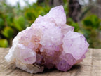 Natural Cactus Flower Spirit Amethyst Cluster x 1 From Boekenhouthoek, South Africa