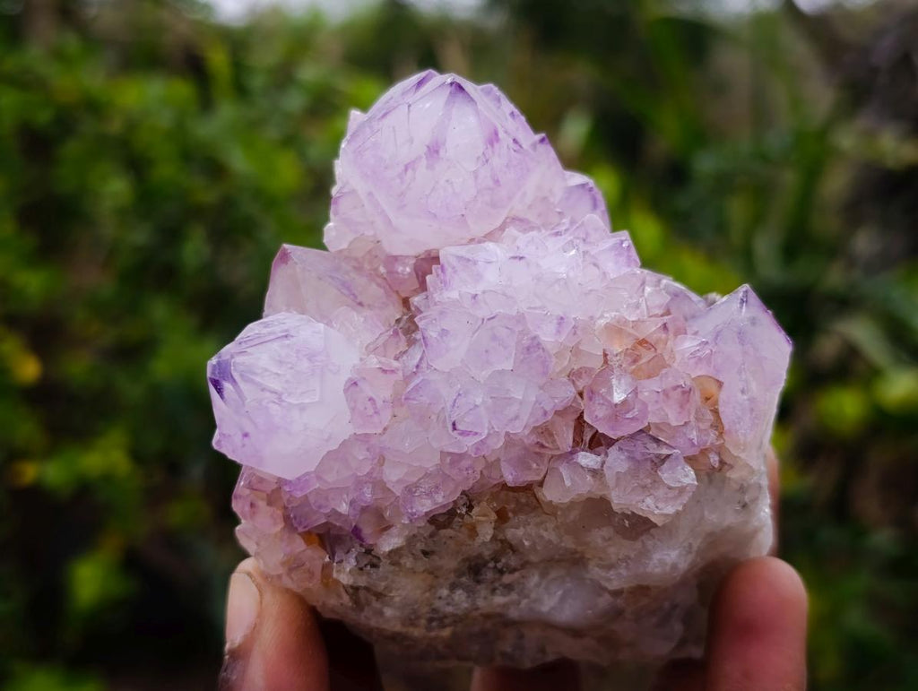 Natural Cactus Flower Spirit Amethyst Cluster x 1 From Boekenhouthoek, South Africa