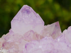 Natural Cactus Flower Spirit Amethyst Cluster x 1 From Boekenhouthoek, South Africa