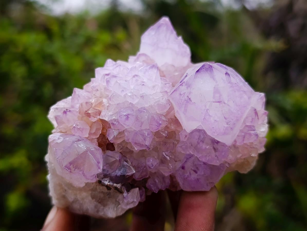Natural Cactus Flower Spirit Amethyst Cluster x 1 From Boekenhouthoek, South Africa