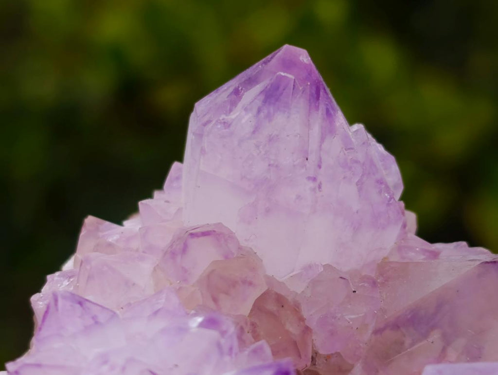 Natural Cactus Flower Spirit Amethyst Cluster x 1 From Boekenhouthoek, South Africa