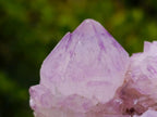 Natural Cactus Flower Spirit Amethyst Cluster x 1 From Boekenhouthoek, South Africa