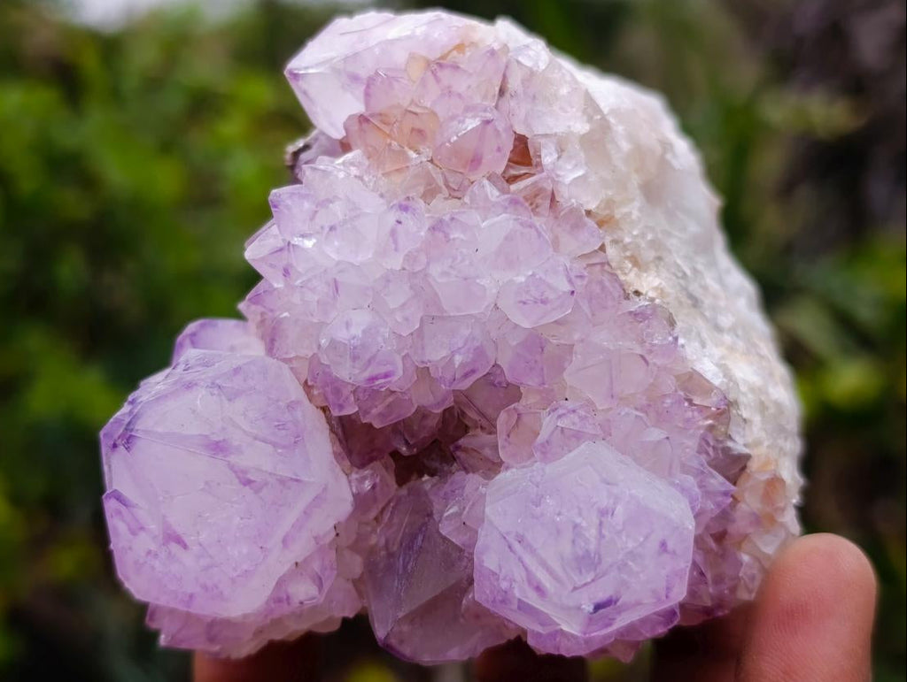 Natural Cactus Flower Spirit Amethyst Cluster x 1 From Boekenhouthoek, South Africa