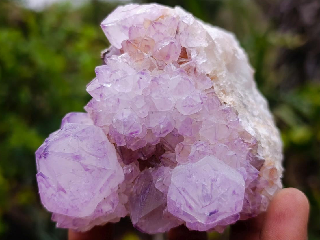 Natural Cactus Flower Spirit Amethyst Cluster x 1 From Boekenhouthoek, South Africa