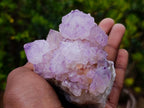Natural Cactus Flower Spirit Amethyst Cluster x 1 From Boekenhouthoek, South Africa