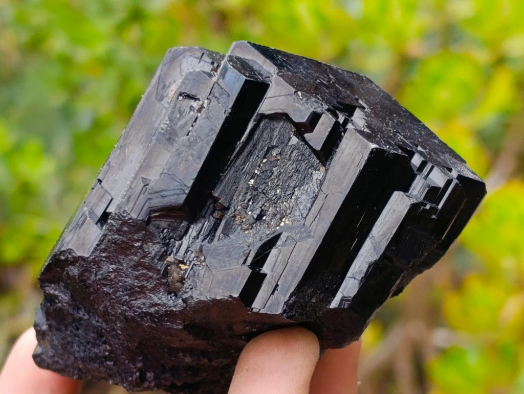 Natural Mirror Shiny Cascading Schorl Black Tourmaline Crystal x 1 From Erongo Mountain, Namibia