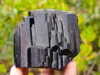 Natural Mirror Shiny Cascading Schorl Black Tourmaline Crystal x 1 From Erongo Mountain, Namibia