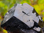Natural Mirror Shiny Cascading Schorl Black Tourmaline Crystal x 1 From Erongo Mountain, Namibia